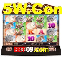Sinta a adrenalina dos jogos de cassino com bet09.com